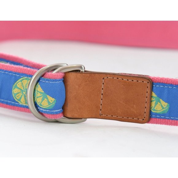 Talbots Women Sz L Lemon Print Ribbon Belt Canvas Leather Blue Preppy D Ring USA - Picture 2 of 8